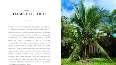  Oasis Del Coco 